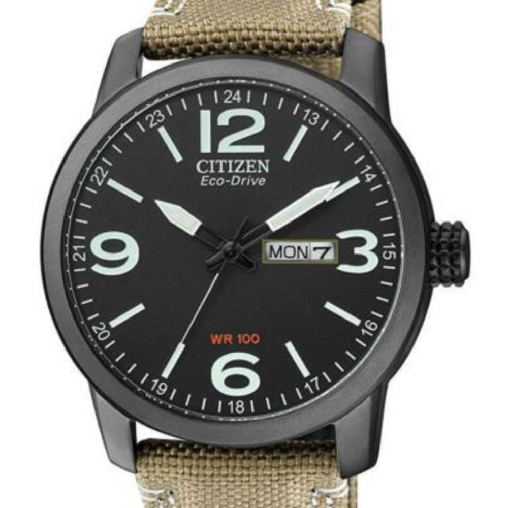 Citizen Global Collection Black Dial 42mm Watch